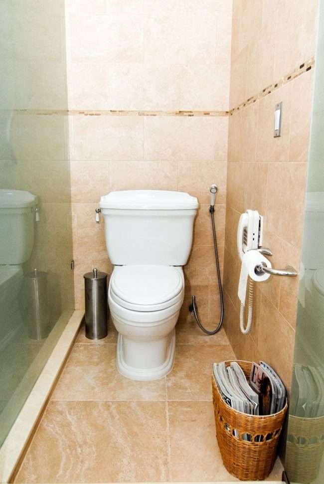Гігієнічний душ із змішувачем прихованого монтажу: огляд 75+ мультифункціональних і практичних варіантів
