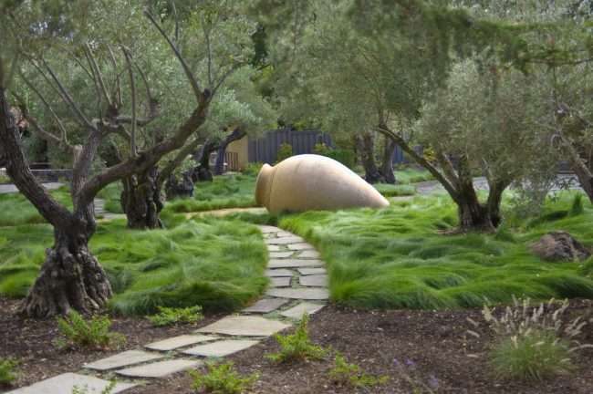 Газонна трава, яка знищує буряни: просте рішення для ідеального саду