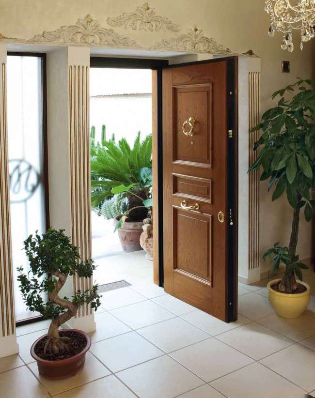 Найкращі вхідні двері в приватний будинок (50 фото): види і критерії відбору