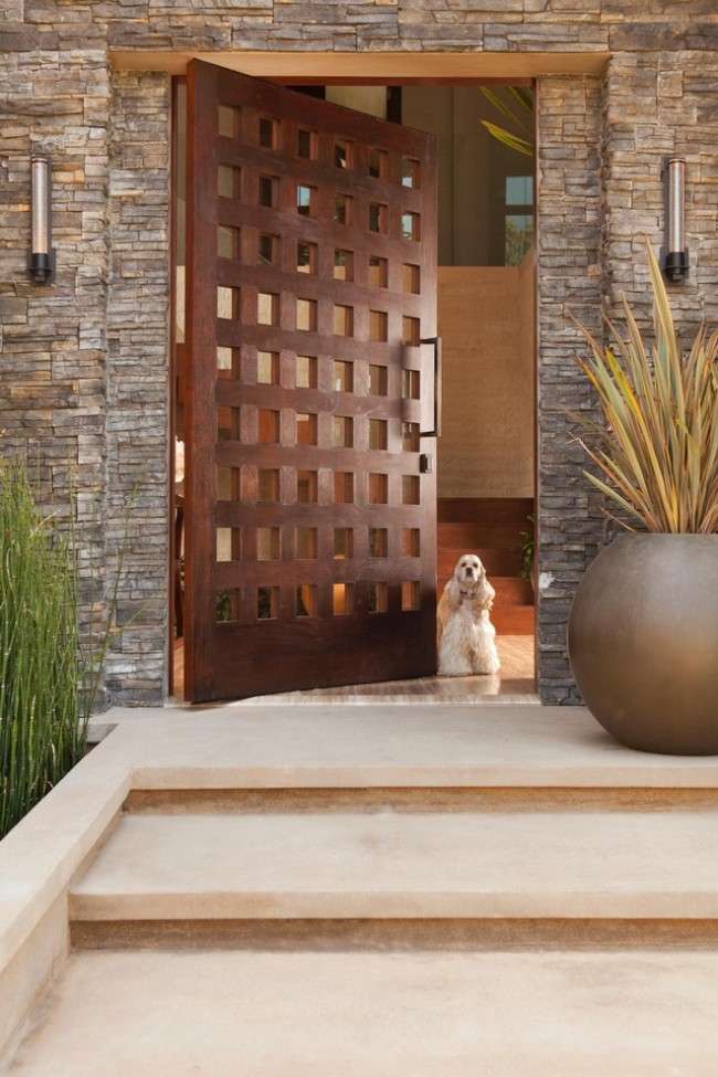 Найкращі вхідні двері в приватний будинок (50 фото): види і критерії відбору