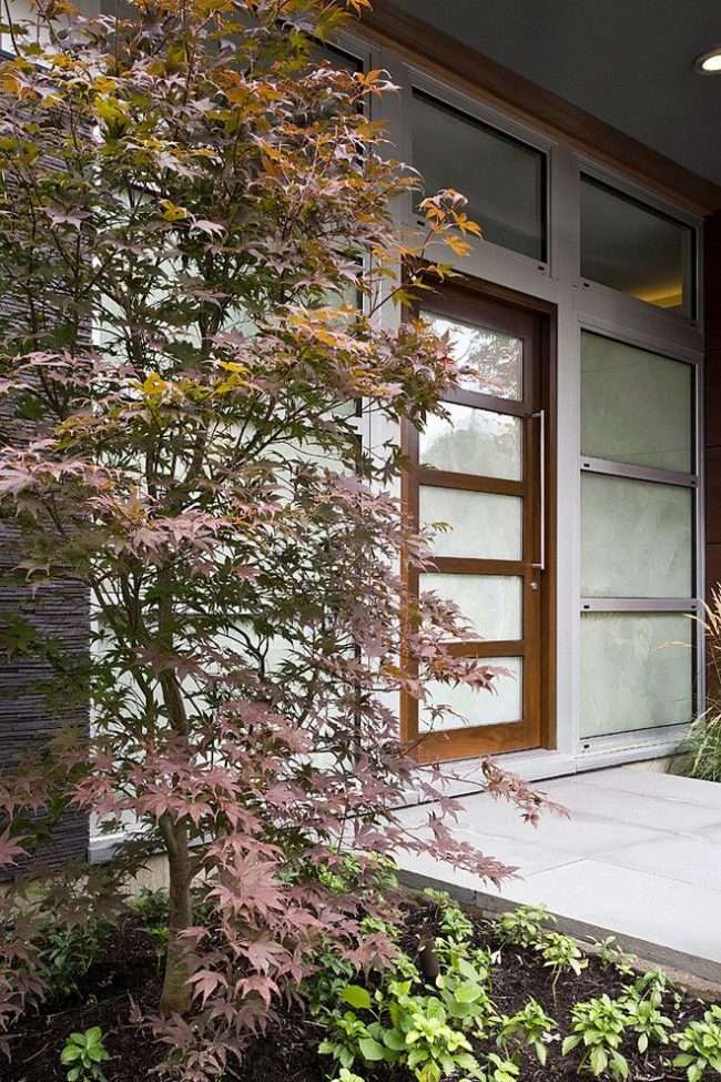 Пластикові вхідні двері для приватного будинку: 70+ стильних і надійних реалізацій