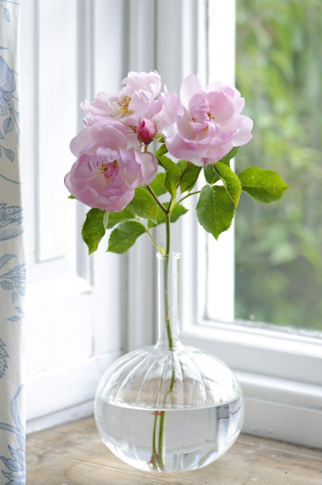 Ідеальна ваза для троянд: як вибрати потрібну і секрети продовження життя квітів