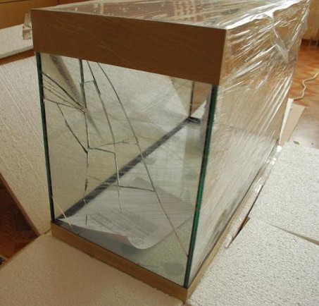 Что делать если стекло аквариума треснуло?