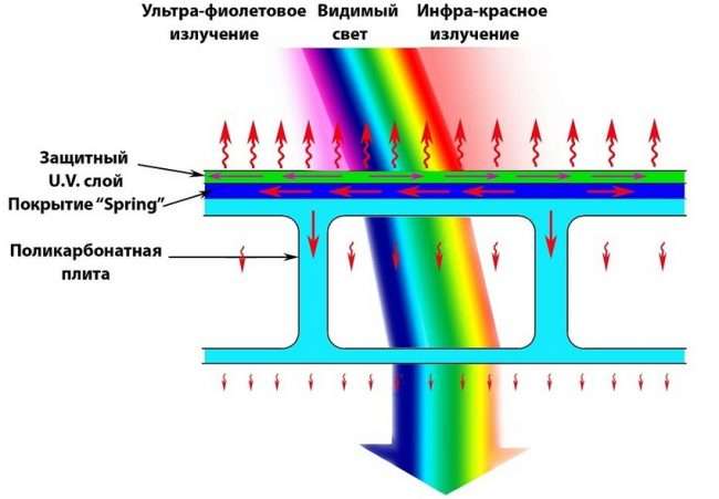 Прибудована до будинку веранда з полікарбонату: особливості зведення та 70+ стильних і надійних конструкцій