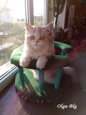 лежанка