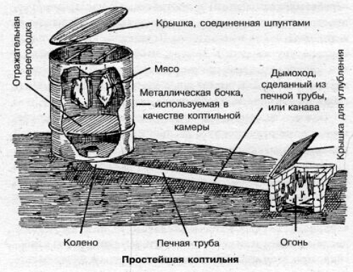 текст при наведении