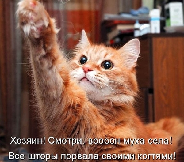 текст при наведении