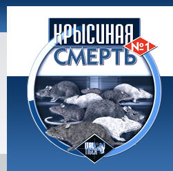 текст при наведении