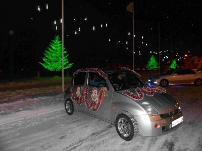 украшения для автомобиля
