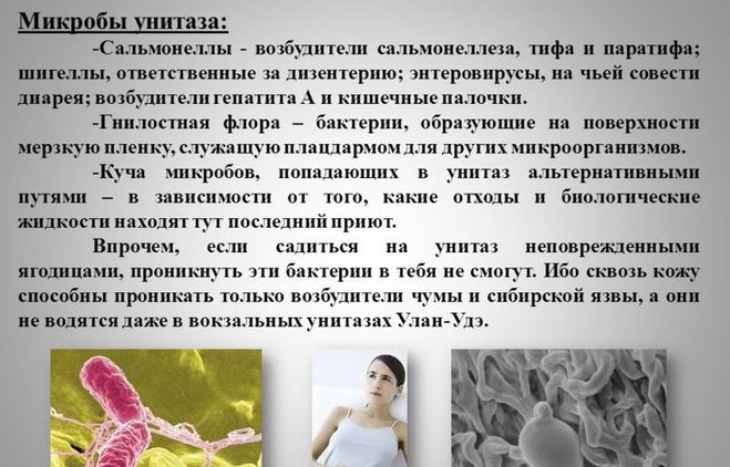 текст при наведении