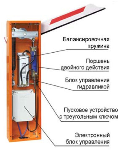 текст при наведении