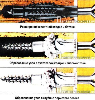 текст при наведении