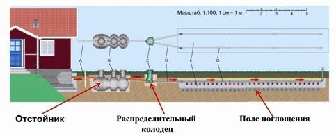 текст при наведении