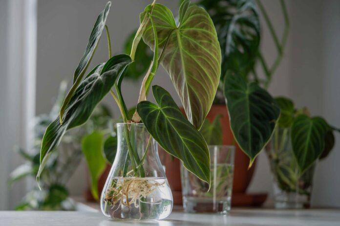 056ccb6f-5953-4d09-9544-b5c5bcae213b