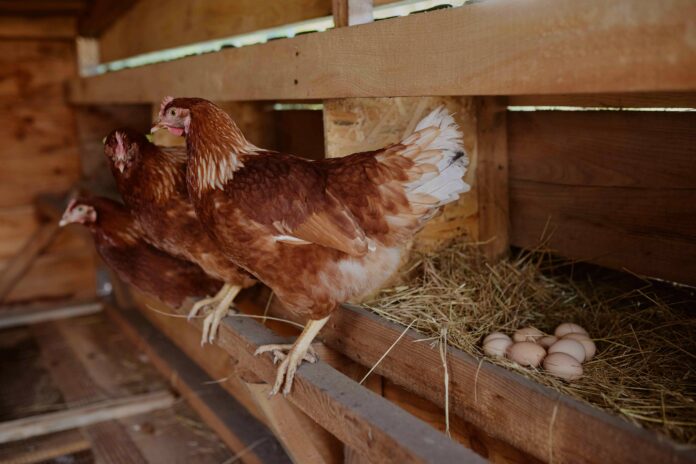 4a9246ec-109f-40a4-b121-ff17d7752a31