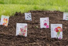 Не чекайте теплої погоди: сплануйте свій сад прямо зараз, щоб весна процвітала