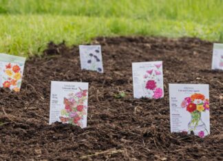 Nečekejte na teplé počasí: Naplánujte si zahradu hned na prosperující jaro