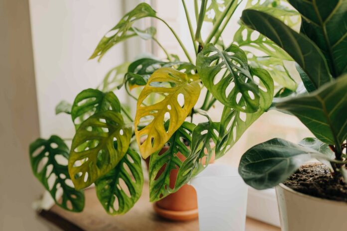 8e2940e9-4dd4-4bc9-be3f-903bbf5c286d