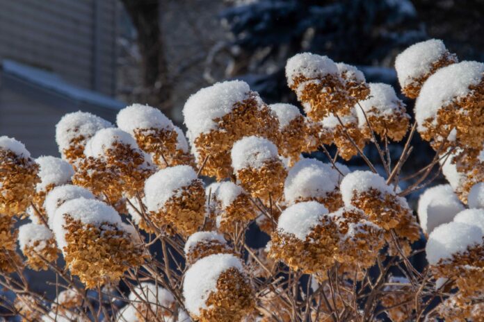 cd75a4d1-49ab-4e46-b72a-ba08970c248c