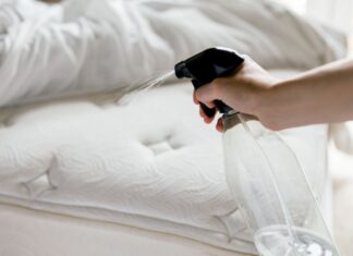 Zabíjí alkohol štěnice? Odborný průvodce hubením škůdců