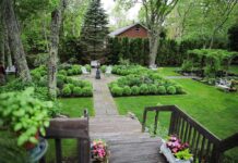 Tendances en déclin dans les jardins : ce que les professionnels du jardin évitent