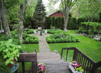 Declining Yard Trends: What Garden Pros Avoid