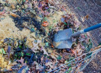 Compostaje de invierno: evite estos errores para salvar su jardín