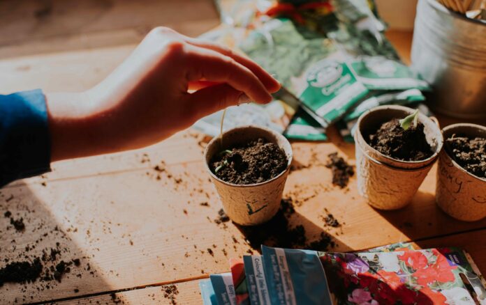 987b0d51-4152-40bf-946f-5dc64bb30d4b