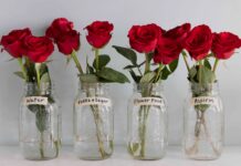 Test trwałości kwiatów ciętych: specjalistyczne odżywianie przewyższa tradycyjne metody