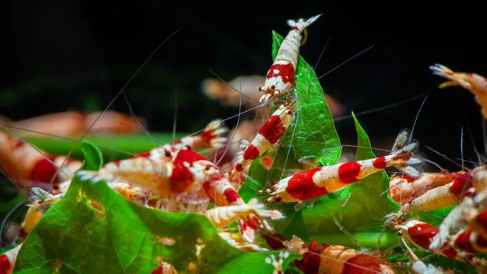 af0ebd07-0604-4da6-bc6c-dd93c2a8f913