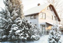 Захист вашого саду від пошкоджень снігом: практичний посібник