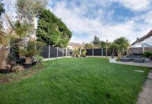 Дерево Сусіду, Що Нависає Над Вашою Ділянкою: Що Вам Потрібно Знати