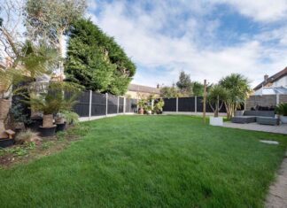 Drzewo sąsiada zwisające z Twojej posesji: co musisz wiedzieć