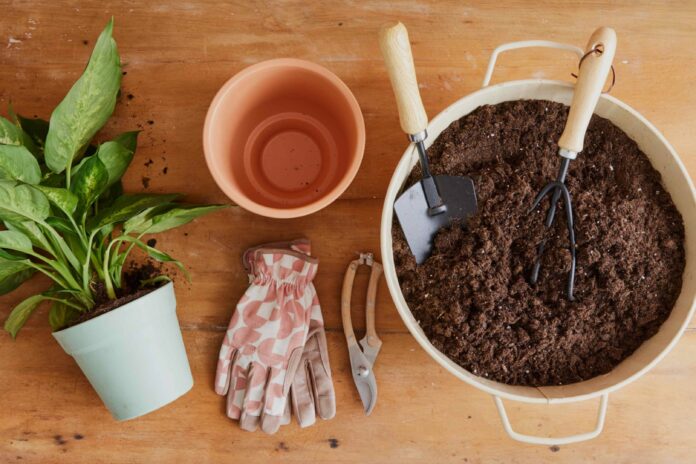 fbf6e831-1b51-423d-a5c2-22d9876a7a13