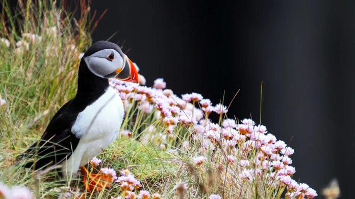 4a68a2d0-c308-4b63-af46-b378e23df06f