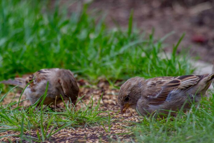 75b8c1bc-9c45-45e7-b6fa-46e0ca992004