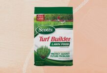 The 6 Best Lawn Fertilizers for a Healthy, Vibrant Lawn