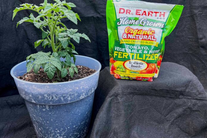 86d9e31a-65f9-41a7-b370-e3d4dd197ee6