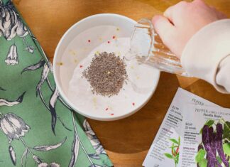 Remojo de semillas: cuándo hidratar para una mejor germinación