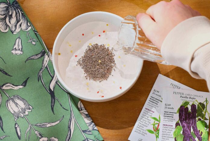 e46effa5-6a0f-401c-89c4-fdba032fe510