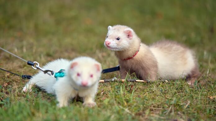 e7dec4e5-b40d-45d8-9725-219cd0ed8614