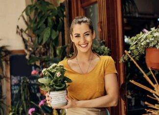 Hoe u warmteminnende zomerbloemen kiest voor een levendige tuin