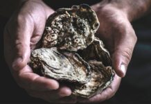 Як використовувати раковини устриць для саду, будинку та догляду за шкірою