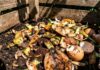 Закони про компостування у Франції: чому відстань не має значення, а запах має